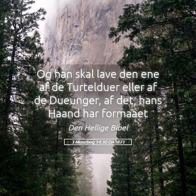 Picture 05 - 3 Mosebog 14:30 DA1871 - Og han skal lave den ene af de Turtelduer eller - Bible Verse Picture