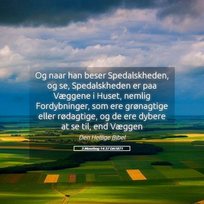 Picture 05 - 3 Mosebog 14:37 DA1871 - Og naar han beser Spedalskheden, og se, - Bible Verse Picture