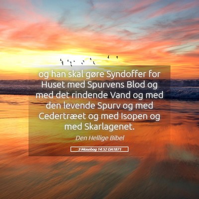 Picture 05 - 3 Mosebog 14:52 DA1871 - og han skal gøre Syndoffer for Huset med - Bible Verse Picture