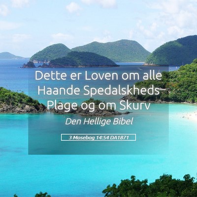 Picture 05 - 3 Mosebog 14:54 DA1871 - Dette er Loven om alle Haande Spedalskheds Plage - Bible Verse Picture