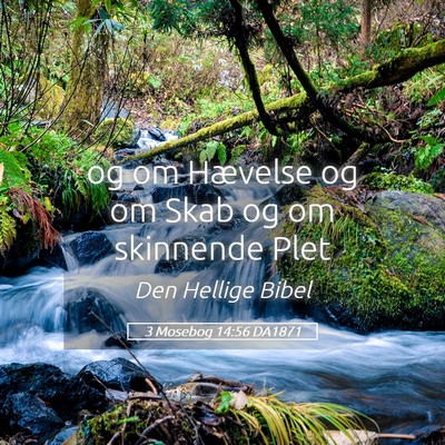 Picture 05 - 3 Mosebog 14:56 DA1871 - og om Hævelse og om Skab og om skinnende - Bible Verse Picture