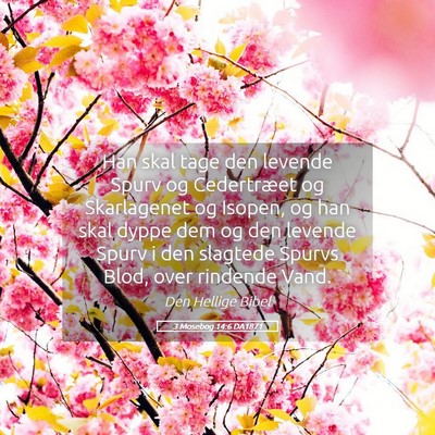 Picture 05 - 3 Mosebog 14:6 DA1871 - Han skal tage den levende Spurv og Cedertræet og - Bible Verse Picture