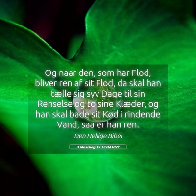 Picture 05 - 3 Mosebog 15:13 DA1871 - Og naar den, som har Flod, bliver ren af sit - Bible Verse Picture