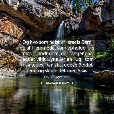 Picture 05 - 3 Mosebog 17:13 DA1871 - Og hvo som helst af Israels Børn og af fremmede, - Bible Verse Picture