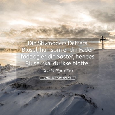 Picture 05 - 3 Mosebog 18:11 DA1871 - Din Stivmoders Datters Blusel, hun som er din - Bible Verse Picture