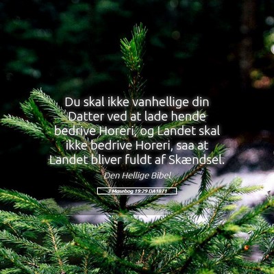 Picture 05 - 3 Mosebog 19:29 DA1871 - Du skal ikke vanhellige din Datter ved at lade - Bible Verse Picture