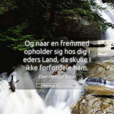 Picture 05 - 3 Mosebog 19:33 DA1871 - Og naar en fremmed opholder sig hos dig i eders - Bible Verse Picture