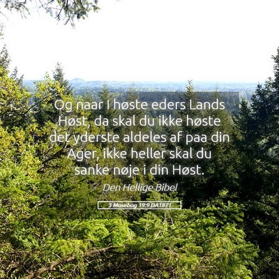 Picture 05 - 3 Mosebog 19:9 DA1871 - Og naar I høste eders Lands Høst, da skal du - Bible Verse Picture