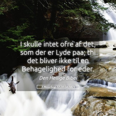 Picture 05 - 3 Mosebog 22:20 DA1871 - I skulle intet ofre af det, som der er Lyde paa; - Bible Verse Picture