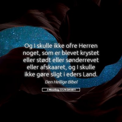 Picture 05 - 3 Mosebog 22:24 DA1871 - Og I skulle ikke ofre Herren noget, som er blevet - Bible Verse Picture
