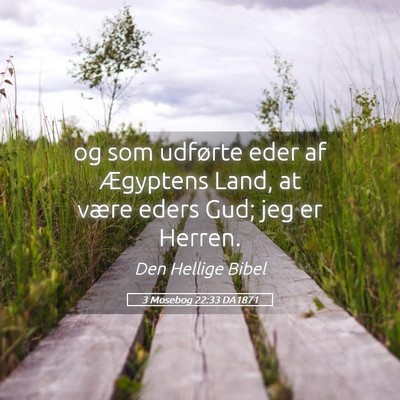Picture 05 - 3 Mosebog 22:33 DA1871 - og som udførte eder af Ægyptens Land, at være - Bible Verse Picture