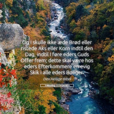 Picture 05 - 3 Mosebog 23:14 DA1871 - Og I skulle ikke æde Brød eller ristede Aks - Bible Verse Picture