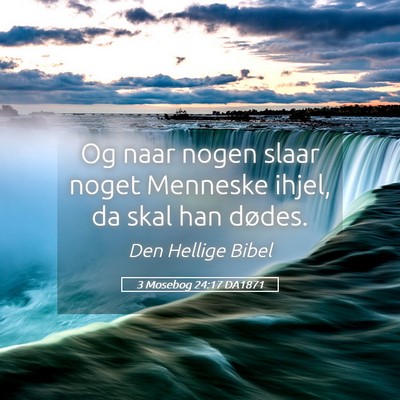 Picture 05 - 3 Mosebog 24:17 DA1871 - Og naar nogen slaar noget Menneske ihjel, da skal - Bible Verse Picture