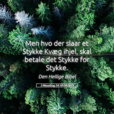 Picture 05 - 3 Mosebog 24:18 DA1871 - Men hvo der slaar et Stykke Kvæg ihjel, skal - Bible Verse Picture