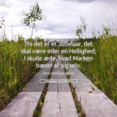 Picture 05 - 3 Mosebog 25:12 DA1871 - Thi det er et Jubelaar, det skal være eder en - Bible Verse Picture