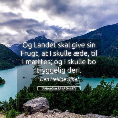 Picture 05 - 3 Mosebog 25:19 DA1871 - Og Landet skal give sin Frugt, at I skulle æde, - Bible Verse Picture