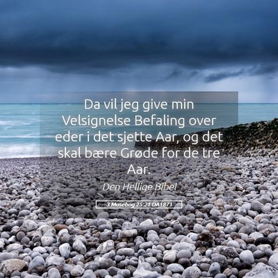 Picture 05 - 3 Mosebog 25:21 DA1871 - Da vil jeg give min Velsignelse Befaling over - Bible Verse Picture