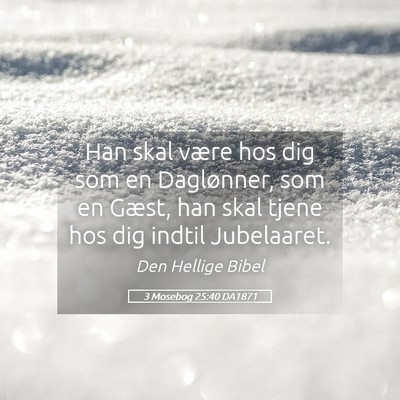 Picture 05 - 3 Mosebog 25:40 DA1871 - Han skal være hos dig som en Daglønner, som en - Bible Verse Picture