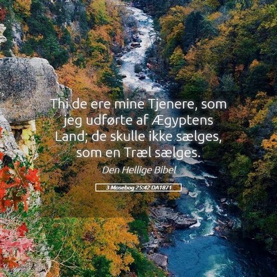Picture 05 - 3 Mosebog 25:42 DA1871 - Thi de ere mine Tjenere, som jeg udførte af - Bible Verse Picture