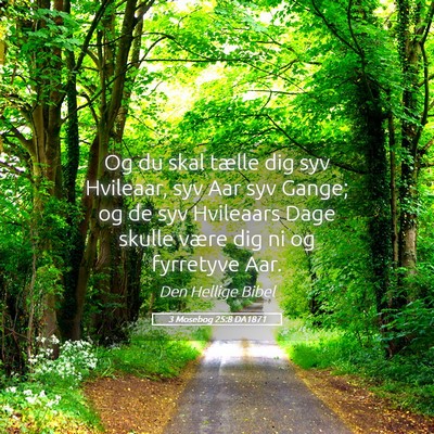 Picture 05 - 3 Mosebog 25:8 DA1871 - Og du skal tælle dig syv Hvileaar, syv Aar syv - Bible Verse Picture