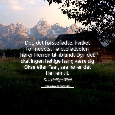 Picture 05 - 3 Mosebog 27:26 DA1871 - Dog det førstefødte, hvilket formedelst - Bible Verse Picture
