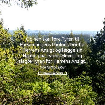 Picture 05 - 3 Mosebog 4:4 DA1871 - Og han skal føre Tyren til Forsamlingens Pauluns - Bible Verse Picture