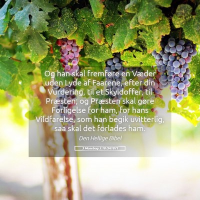 Picture 05 - 3 Mosebog 5:18 DA1871 - Og han skal fremføre en Væder uden Lyde af - Bible Verse Picture