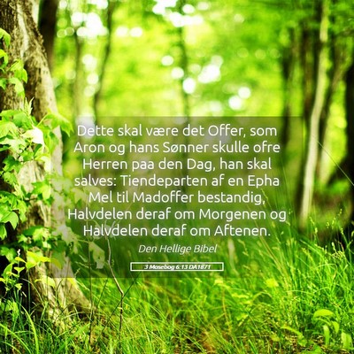 Picture 05 - 3 Mosebog 6:13 DA1871 - Dette skal være det Offer, som Aron og hans - Bible Verse Picture