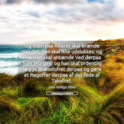 Picture 05 - 3 Mosebog 6:5 DA1871 - Og Ilden paa Alteret skal brænde paa det, den - Bible Verse Picture