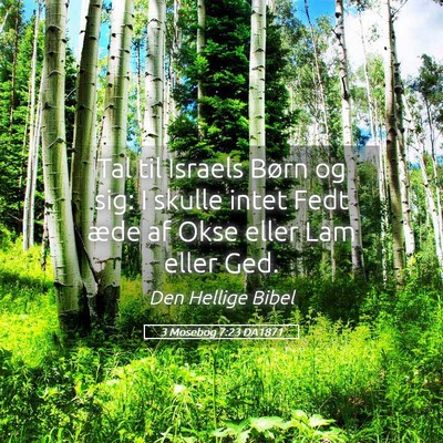 Picture 05 - 3 Mosebog 7:23 DA1871 - Tal til Israels Børn og sig: I skulle intet Fedt - Bible Verse Picture