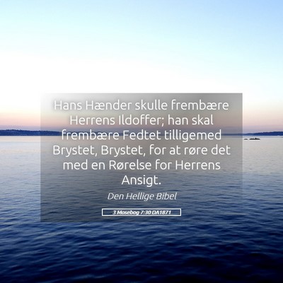 Picture 05 - 3 Mosebog 7:30 DA1871 - Hans Hænder skulle frembære Herrens Ildoffer; - Bible Verse Picture