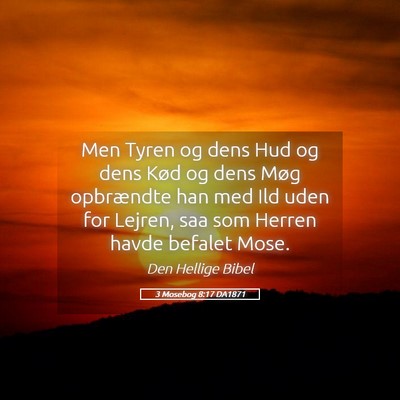 Picture 05 - 3 Mosebog 8:17 DA1871 - Men Tyren og dens Hud og dens Kød og dens Møg - Bible Verse Picture