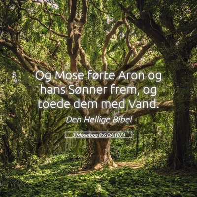 Picture 05 - 3 Mosebog 8:6 DA1871 - Og Mose førte Aron og hans Sønner frem, og - Bible Verse Picture