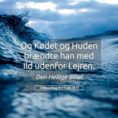 Picture 05 - 3 Mosebog 9:11 DA1871 - Og Kødet og Huden brændte han med Ild udenfor - Bible Verse Picture