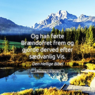 Picture 05 - 3 Mosebog 9:16 DA1871 - Og han førte Brændofret frem og gjorde derved - Bible Verse Picture