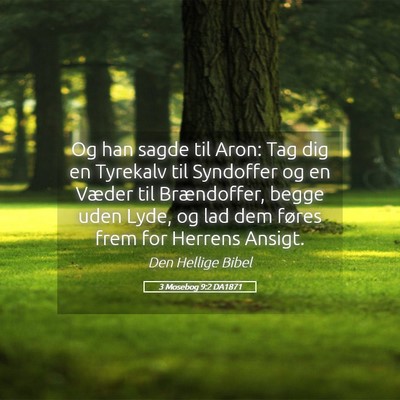 Picture 05 - 3 Mosebog 9:2 DA1871 - Og han sagde til Aron: Tag dig en Tyrekalv til - Bible Verse Picture