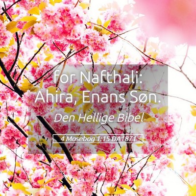 Picture 05 - 4 Mosebog 1:15 DA1871 - for Nafthali: Ahira, Enans - Bible Verse Picture
