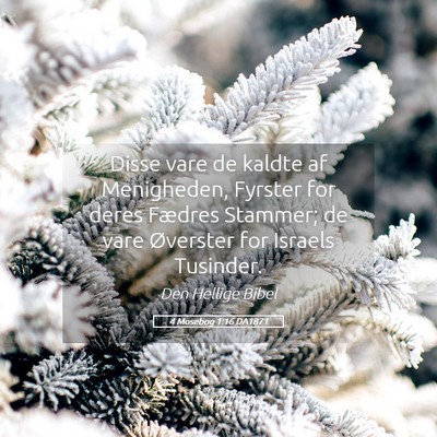 Picture 05 - 4 Mosebog 1:16 DA1871 - Disse vare de kaldte af Menigheden, Fyrster for - Bible Verse Picture