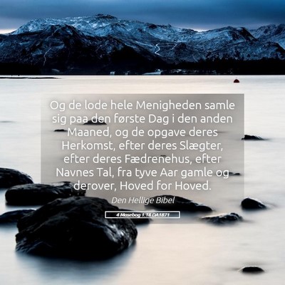 Picture 05 - 4 Mosebog 1:18 DA1871 - Og de lode hele Menigheden samle sig paa den - Bible Verse Picture