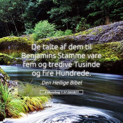 Picture 05 - 4 Mosebog 1:37 DA1871 - De talte af dem til Benjamins Stamme vare fem og - Bible Verse Picture