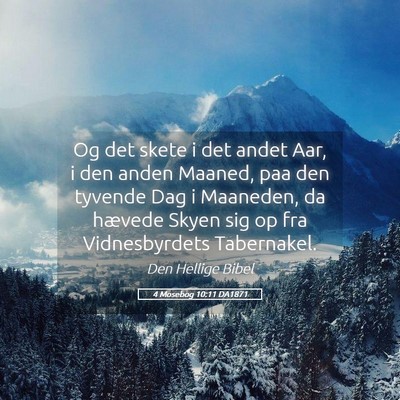 Picture 05 - 4 Mosebog 10:11 DA1871 - Og det skete i det andet Aar, i den anden Maaned, - Bible Verse Picture