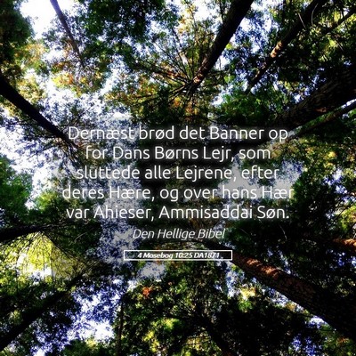 Picture 05 - 4 Mosebog 10:25 DA1871 - Dernæst brød det Banner op for Dans Børns - Bible Verse Picture