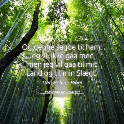 Picture 05 - 4 Mosebog 10:30 DA1871 - Og denne sagde til ham: Jeg vil ikke gaa med, men - Bible Verse Picture
