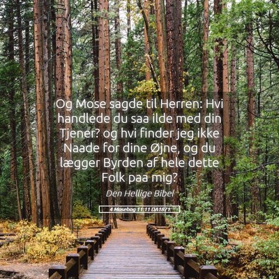 Picture 05 - 4 Mosebog 11:11 DA1871 - Og Mose sagde til Herren: Hvi handlede du saa - Bible Verse Picture