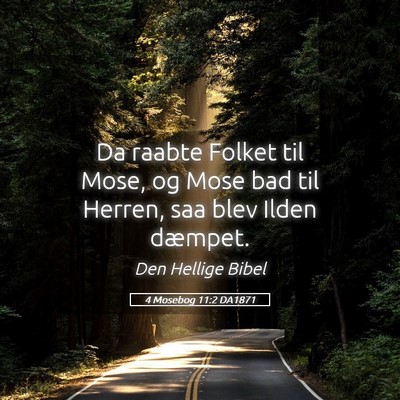 Picture 05 - 4 Mosebog 11:2 DA1871 - Da raabte Folket til Mose, og Mose bad til - Bible Verse Picture