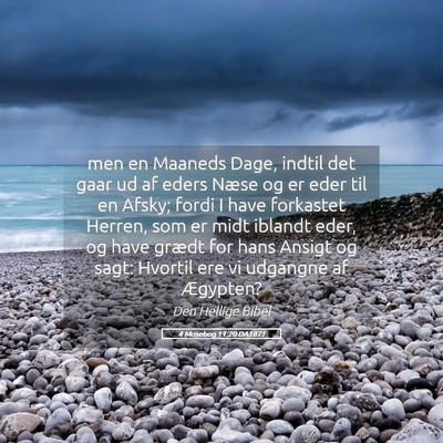 Picture 05 - 4 Mosebog 11:20 DA1871 - men en Maaneds Dage, indtil det gaar ud af eders - Bible Verse Picture