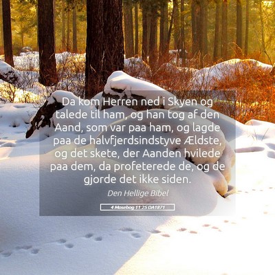 Picture 05 - 4 Mosebog 11:25 DA1871 - Da kom Herren ned i Skyen og talede til ham, og - Bible Verse Picture