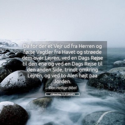 Picture 05 - 4 Mosebog 11:31 DA1871 - Da for der et Vejr ud fra Herren og førte - Bible Verse Picture