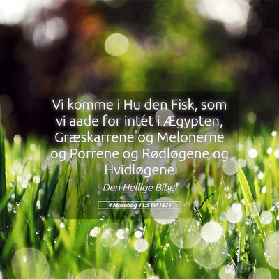 Picture 05 - 4 Mosebog 11:5 DA1871 - Vi komme i Hu den Fisk, som vi aade for intet i - Bible Verse Picture