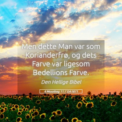 Picture 05 - 4 Mosebog 11:7 DA1871 - Men dette Man var som Korianderfrø, og dets - Bible Verse Picture